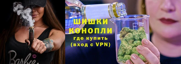 МДПВ Богородицк