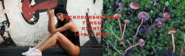 крисы Богданович