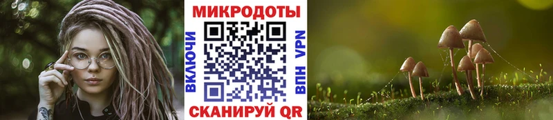Галлюциногенные грибы Cubensis  дарнет шоп  Воркута 