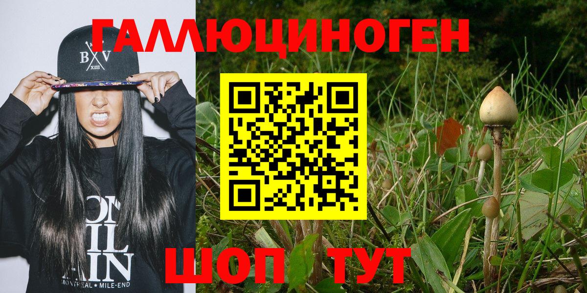 Галлюциногенные грибы MAGIC MUSHROOMS  Вход с VPN  Воркута 
