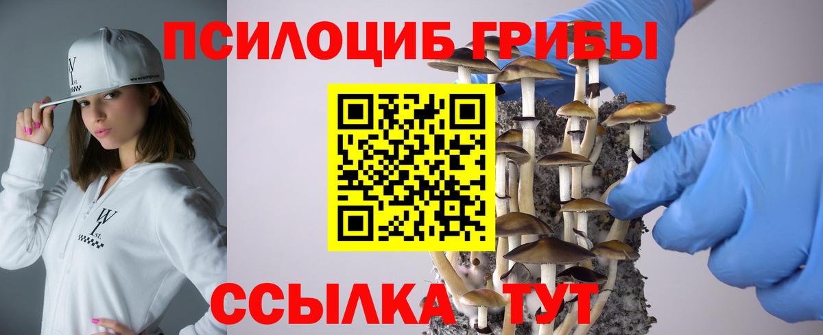 Псилоцибиновые грибы мухоморы Воркута