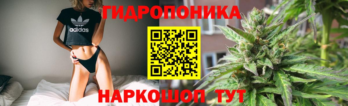 Конопля Bruce Banner Воркута